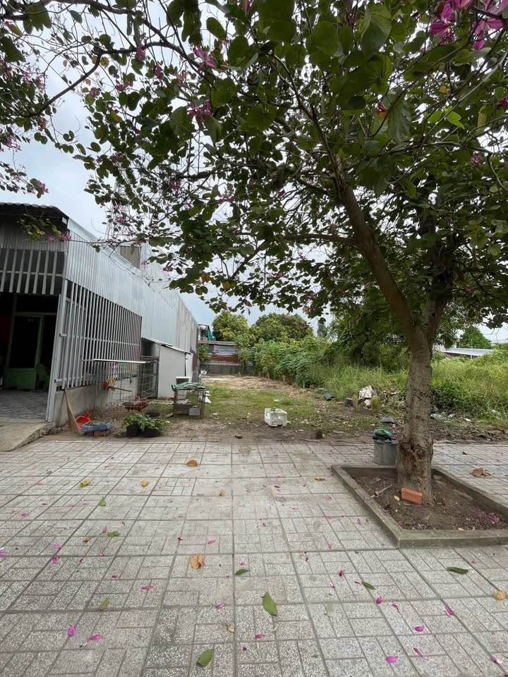 Đất nền KDC Thỏ Đế - Bình Đức 86m² giá 1.2 tỷ - Đường thông, xây dựng ngay!