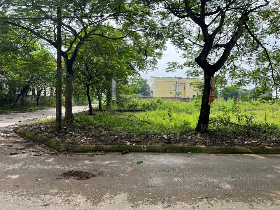 Đất nền Quốc Oai 150m² góc đẹp - Cơ hội đầu tư sinh lời!