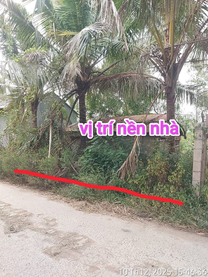 Đất nền xã Nhơn Hội, huyện An Phú, An Giang 190m² giá 280 triệu - Cơ hội đầu tư tuyệt vời!