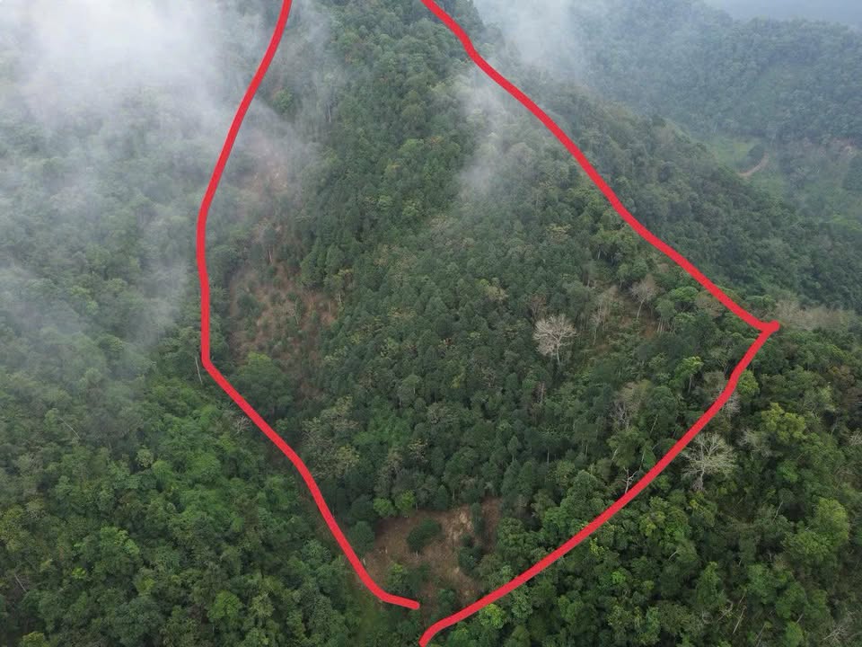 Farm 4,5ha tại Cư Lễ, Na Rì - Đất màu mỡ, sẵn sàng phát triển!