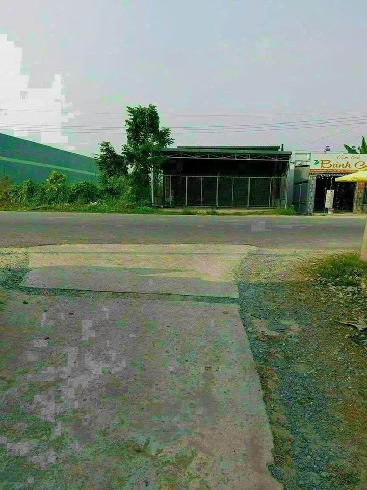 Đất lúa 1878m² xã Bình Tâm, Tân An, Long An - Đầu tư lý tưởng chỉ 1.8 tỷ!