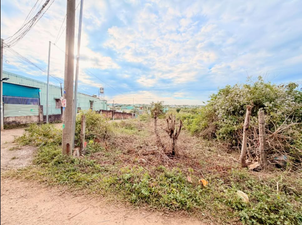 Nhà phố Hẻm 130 Phạm Ngọc Thạch, Đống Đa, 135m² giá 800 triệu - Đầu tư tiềm năng!