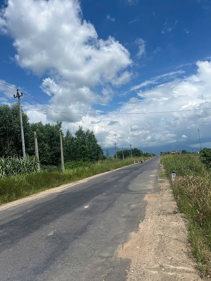 Đất nền 1000m² Ninh Xuân - Đầu tư tiềm năng sát khu công nghiệp!