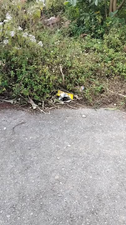 Đất đấu giá tại Mải Hạ, Tân Thanh, Bắc Giang - Chỉ 5 tỷ cho 4 lô 90m²