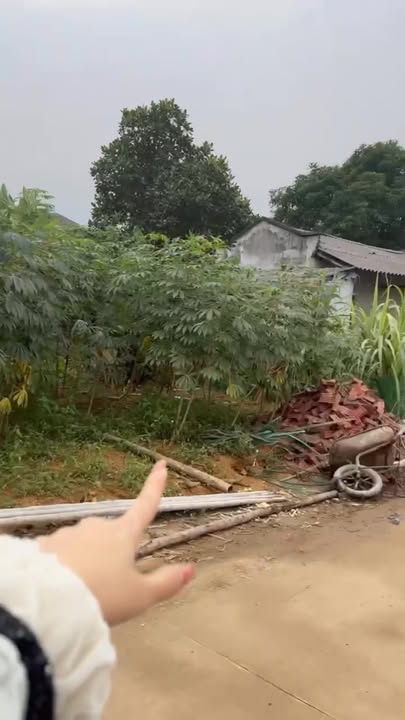 Đất Khu 12 – Tu Vũ, Thanh Thủy, Phú Thọ 304m² - Sẵn xây nhà, giá mềm!