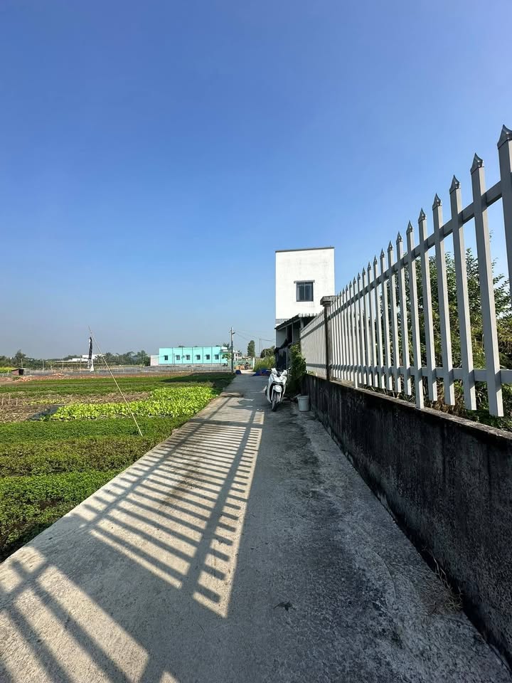 Đất nền chính chủ tại xã Mỹ Lộc, Cần Giuộc 120m² giá 920 triệu - Cơ hội đầu tư tuyệt vời!