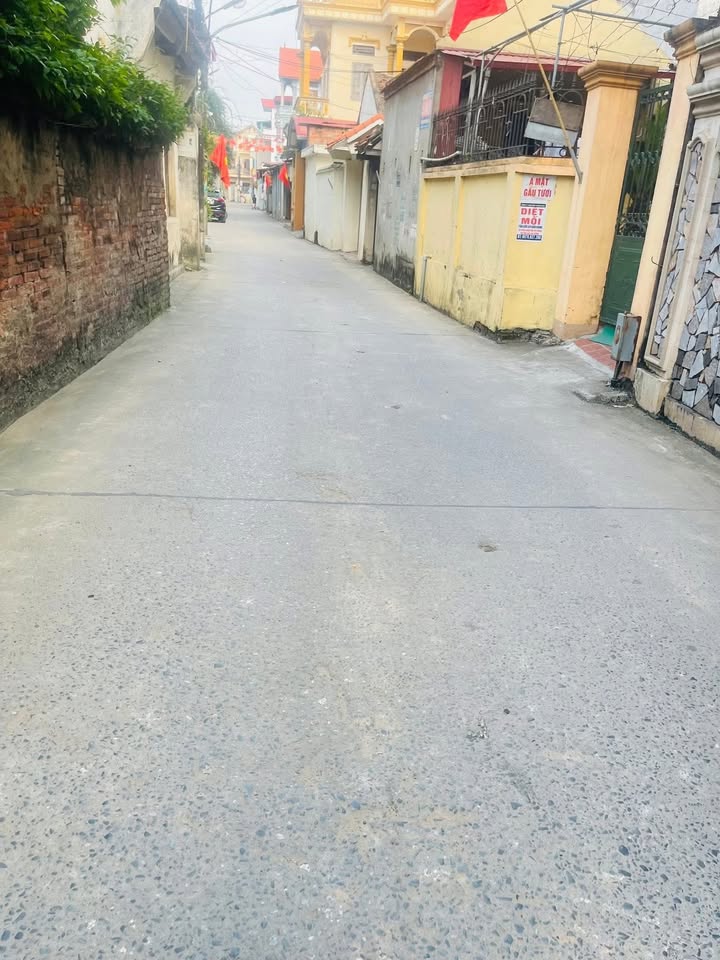 Đất nền Lạc Thổ, phường Hồ, Bắc Ninh 100m² - Giá tốt đầu tư hoặc ở ngay!