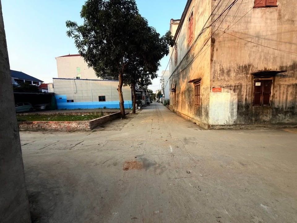 Đất thổ cư 85m² Ấp Tre, Quang Minh, Mê Linh - Sổ mới, ô tô vào tận nơi!