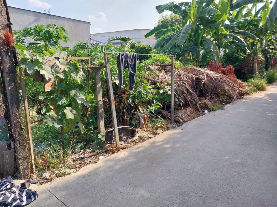 Đất nền Bình Mỹ Củ Chi 237.7m² giá 4.3 tỷ - Sổ hồng chính chủ, vị trí đắc địa!