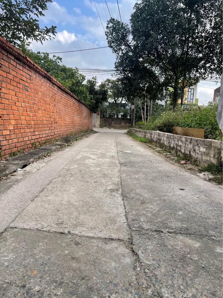 Đất xây trọ, chung cư mini tại Tân Xã 150m² - Vị trí đắc địa, giá thỏa thuận!