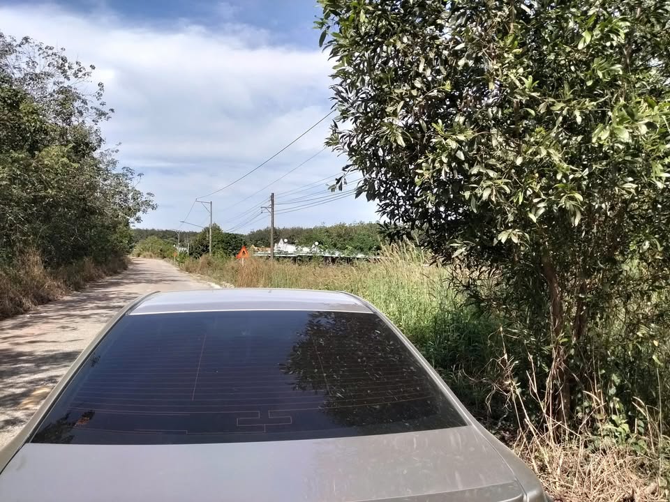 Đất nền Phước Sang, Phú Giáo 276m² giá 600 triệu - Sổ hồng chính chủ, thương lượng ngay!