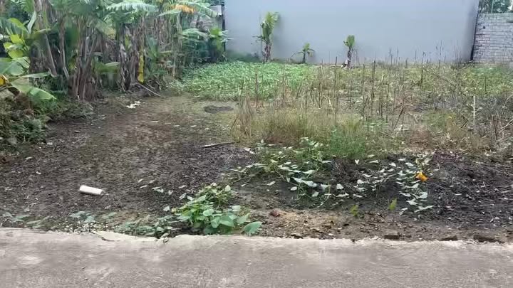 Đất thổ cư thôn 7 Hoằng Thành 94.5m² chỉ 600 triệu - Vị trí đắc địa, tiện ích đầy đủ!