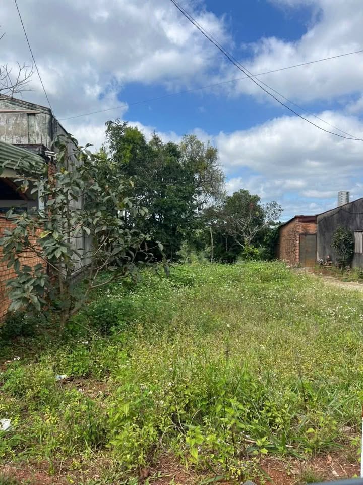 Đất nền mặt tiền Lý Thường Kiệt, Lộc Phát 700m² giá 3.9 tỷ - Đầu tư sinh lời cao!