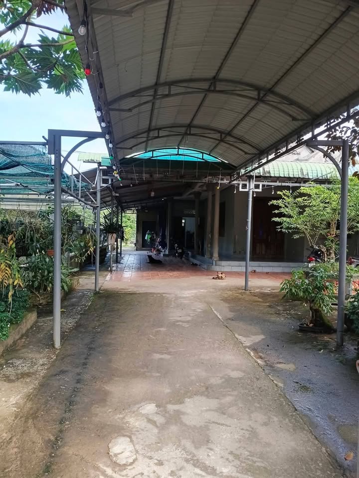 Lô đất Đạ Tẻh 3, Lâm Đồng 3500m² giá 3 tỷ - Cơ hội đầu tư hấp dẫn!