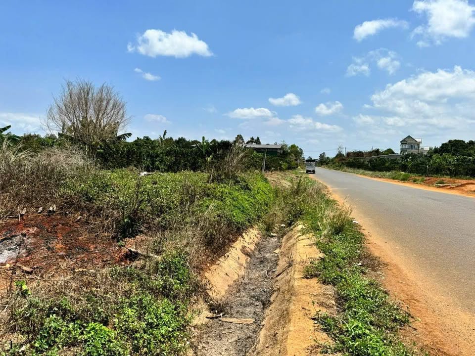 Đất mặt tiền đường tránh QL20 Lộc Nga, Bảo Lộc 794m² giá 4.2 tỷ - Cơ hội đầu tư sinh lời!