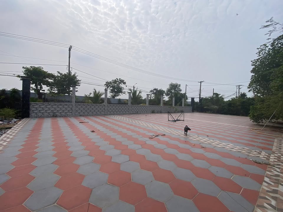 Cho thuê đất 2000m² Xuân Thới Thượng, Hóc Môn - Phù hợp làm kho bãi, bãi xe!