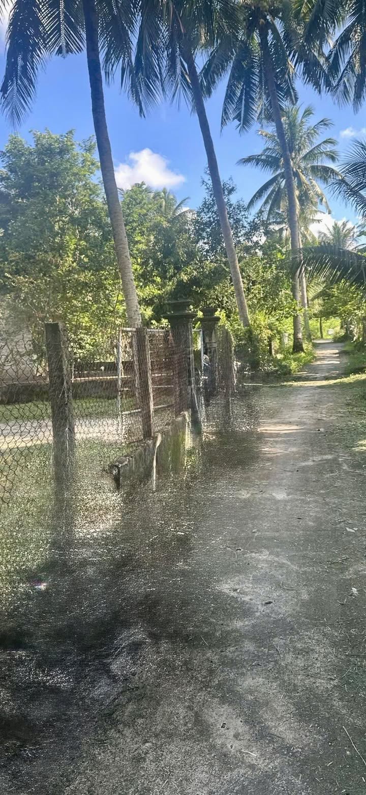 Lô đất 288m² tại Tân An, Hoài Châu - Giá chỉ từ 4xx triệu - Đầu tư lý tưởng!