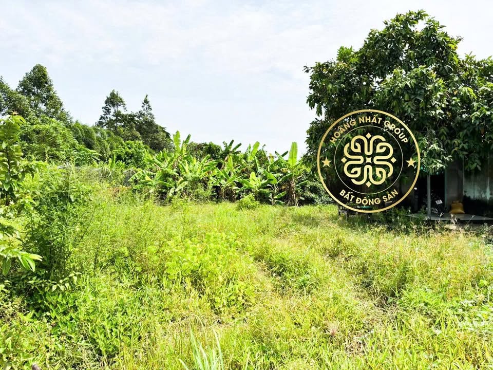 Đất vườn Lý Văn Lâm 700m² giá 2 tỷ - Tiện ích phát triển xung quanh!