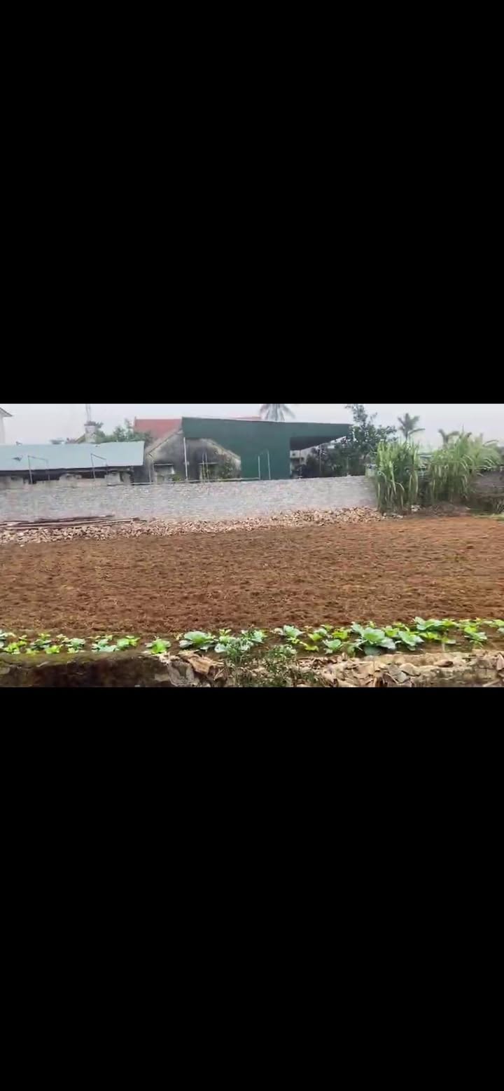 Đất nền Diễn Hoàng 140m² giá 1 tỷ - Cơ hội đầu tư tuyệt vời!