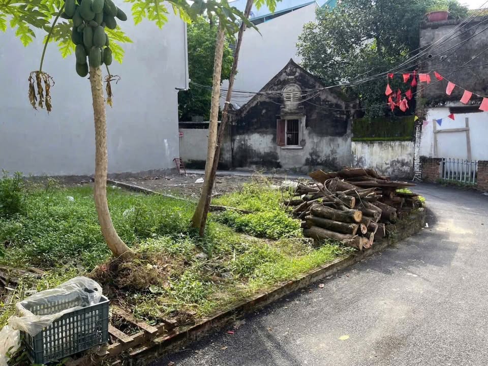 Đất lô góc thôn Nội Đức Thượng, Hoài Đức 52,8m² giá 4,3 tỷ - Đường ô tô đỗ cửa!