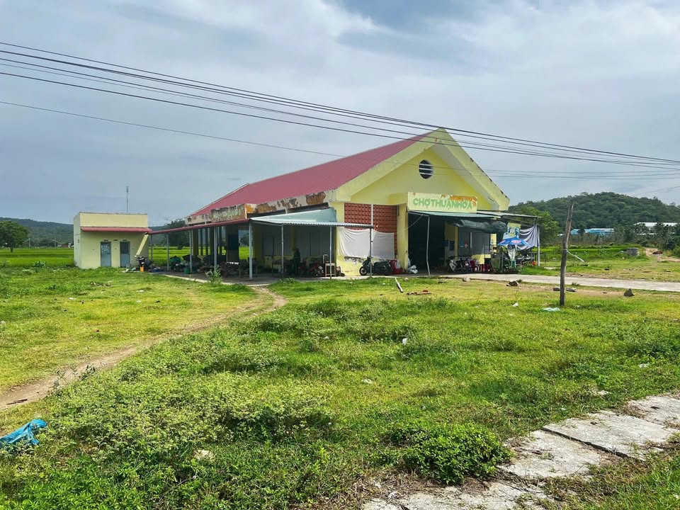 Bán đất mặt tiền nhựa đối diện chợ Thuận Hòa, 961m², giá 3 tỷ - Đầu tư sinh lời!