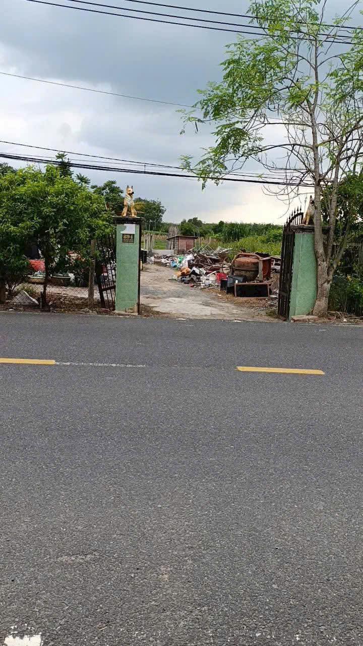 Đất nền An Nhơn Tây Củ Chi 529m² giá 3.65 tỷ - Vị trí đẹp, cơ hội đầu tư!