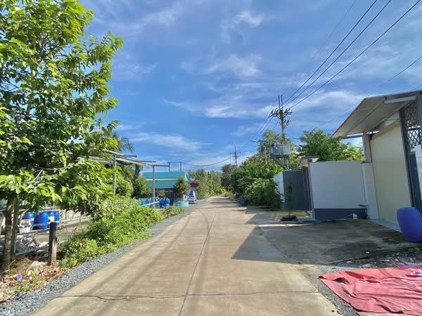 Đất lúa quy hoạch KDC Hóc Môn 600m² giá 1.45 tỷ - Vị trí đắc địa, đầu tư sinh lời!