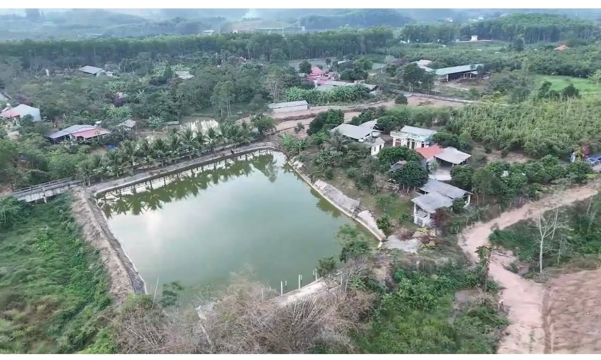 Farm 3600m² Đồng Tâm, Yên Thế, Bắc Giang giá 4 tỷ - View cực đẹp, nghỉ dưỡng lý tưởng!