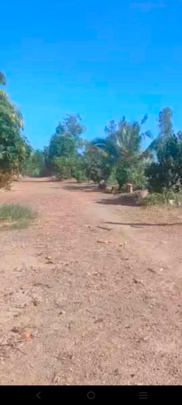 Đất nền Tân Công Sính, Tam Nông 50.000m² giá chỉ 120 triệu - Cơ hội đầu tư tuyệt vời!