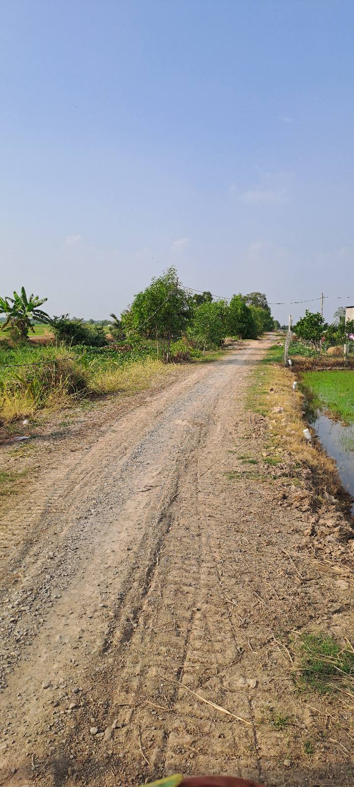 Đất ruộng 3 công Gia Thuận Gò Công Đông 1.5 tỷ - Vị trí tiềm năng gần khu công nghiệp!