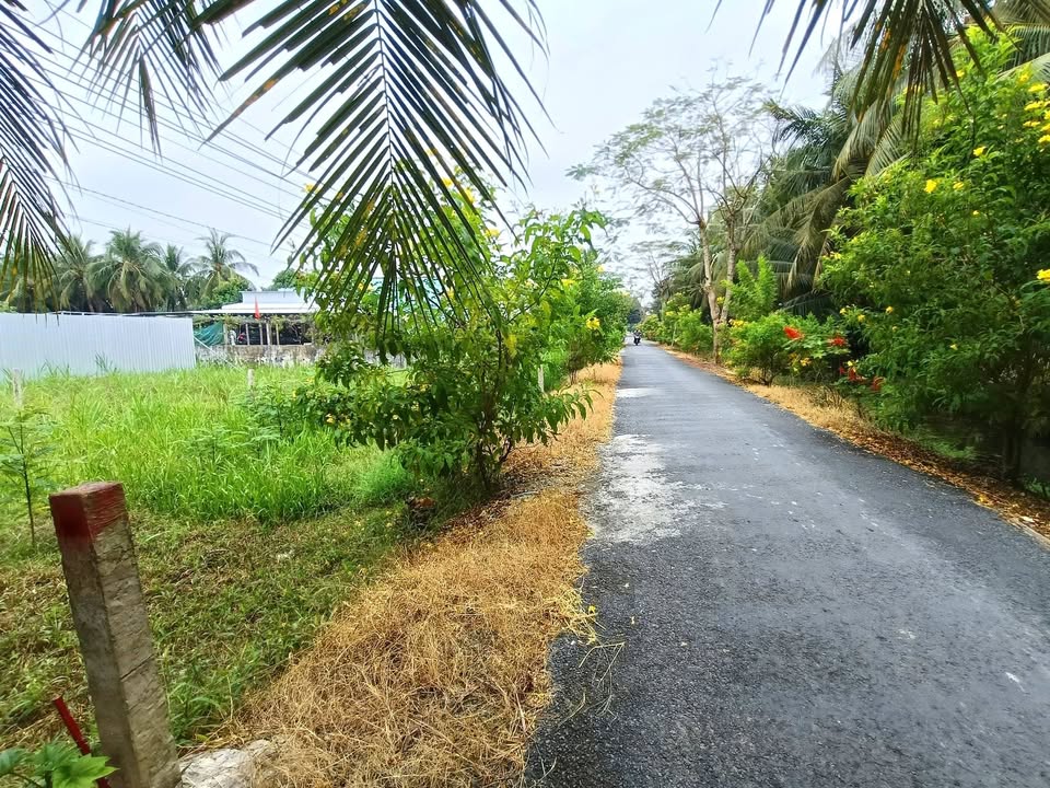 Đất thổ cư 250m² Ấp Hòa Lạc, Tiền Giang - Giá chỉ 390 triệu!