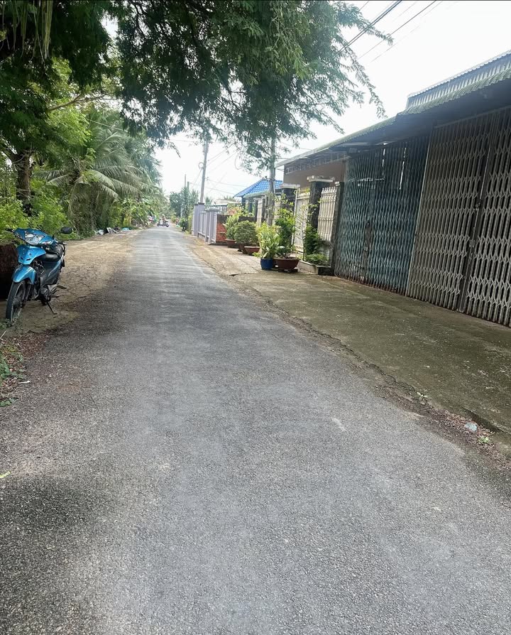 Đất mặt tiền ấp Bình Thuận, xã Song Bình 320m² giá 125 triệu - Hướng Đông view kênh mát mẻ!