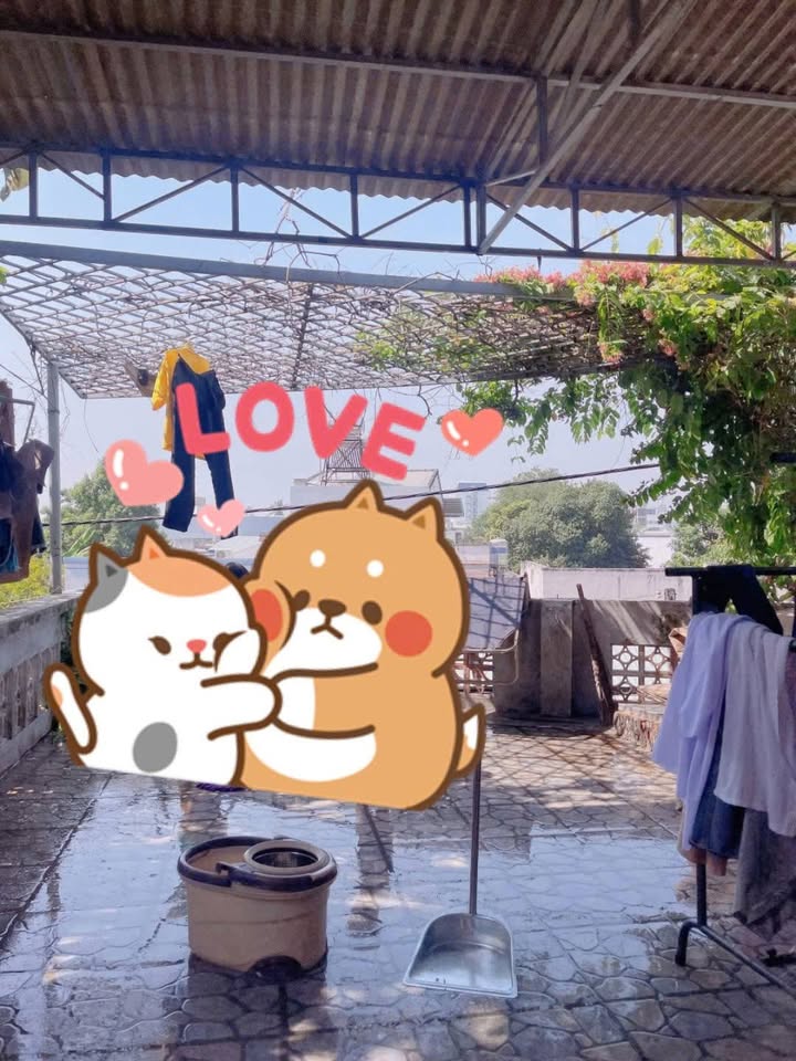 Nhà vườn 150m² đường Võ Thị Sáu, Tây Ninh giá 6.299 tỷ - Kinh doanh sầm uất ngay sát chợ