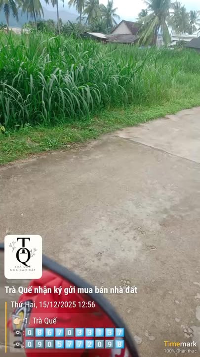 Đất vườn 700m² tại Hoài Châu, Hoài Nhơn - Giá chỉ 100 triệu!