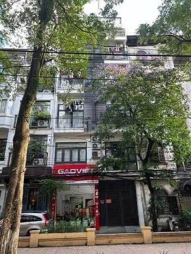 Căn hộ 8 tầng phố Huỳnh Thúc Kháng 84m² giá 42 tỷ - Đầu tư sinh lời hấp dẫn!