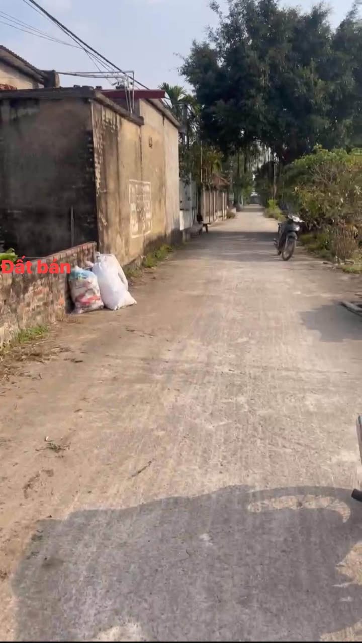 Đất Cẩm Trang - Mai Trung - Hiệp Hòa 158m² giá 1.25 tỷ - Đầu tư sinh lời hấp dẫn!