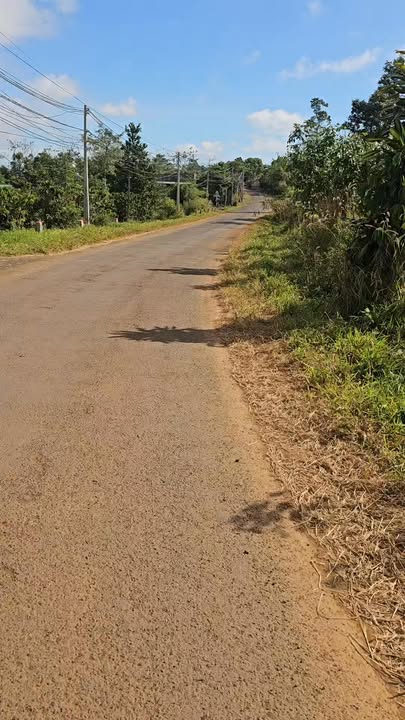 Đất Đắk Wer 7000m² giá 1.7 tỷ - Sổ đỏ chính chủ, thương lượng tốt!