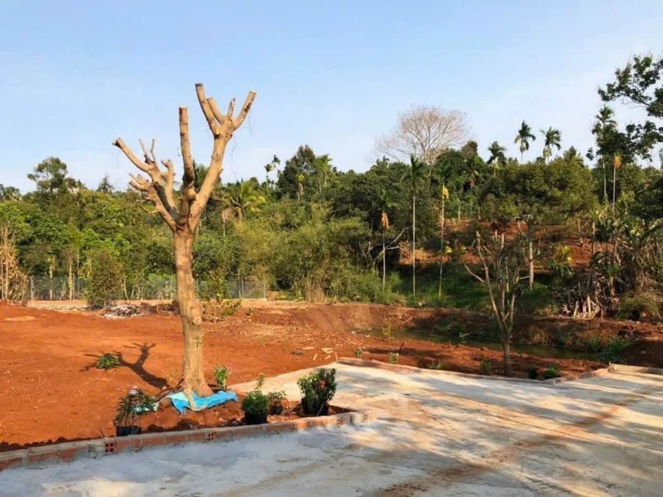 Đất Farm 7.1 Sào tại Hoà Thắng, Buôn Ma Thuột - Gần sân bay, giá 16 tỷ!