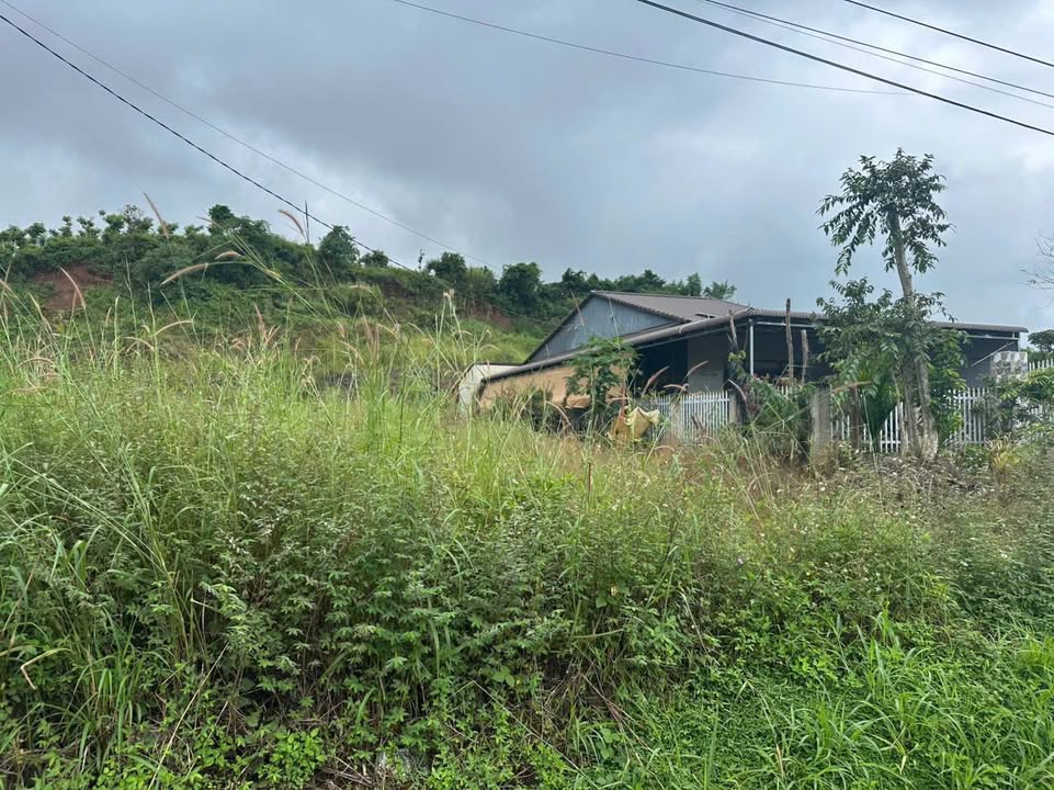 Đất nền mặt tiền Quốc lộ 14, Đắk Gằn 700m² giá 1.65 tỷ - Đầu tư sinh lời ngay!