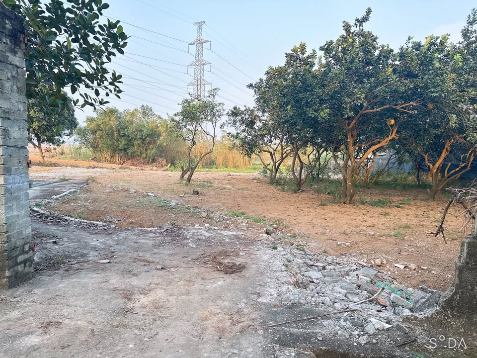 Đất nền 1080m² tại xã Phú Cát, Quốc Oai - Đầu tư lý tưởng cho nghỉ dưỡng!