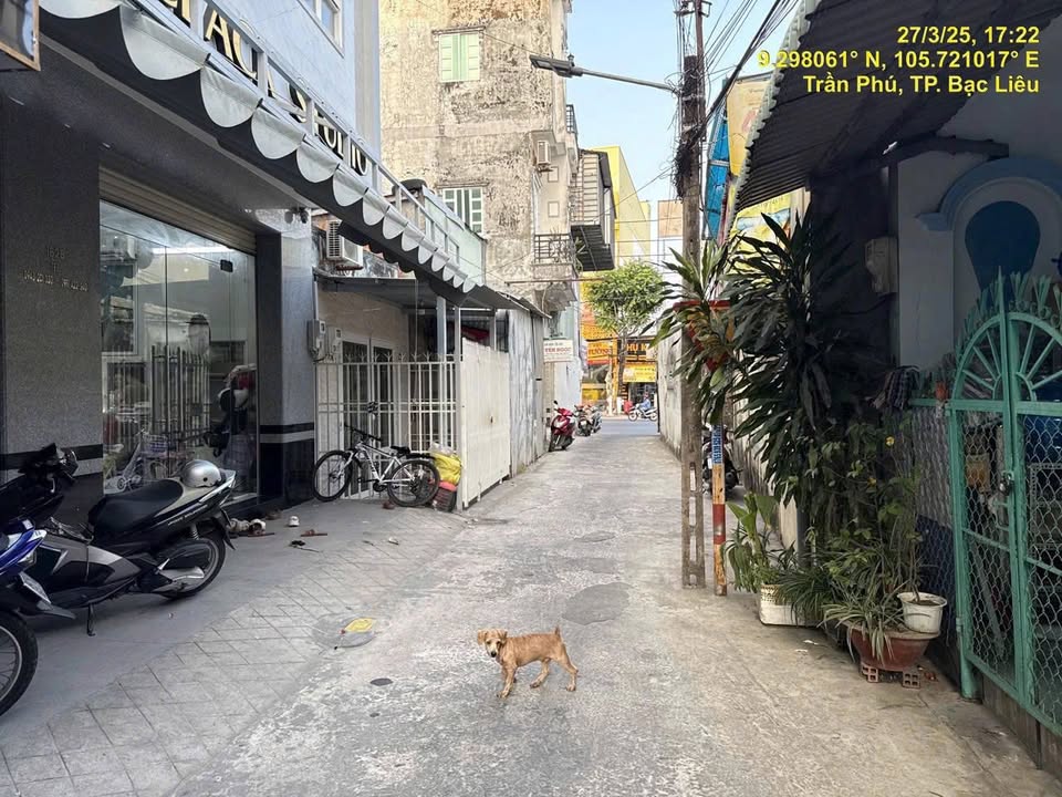 Nhà hẻm Trường Tiểu Học Trần Phú, Bạc Liêu 49m² giá 1.45 tỷ - Sẵn sàng vào ở ngay!