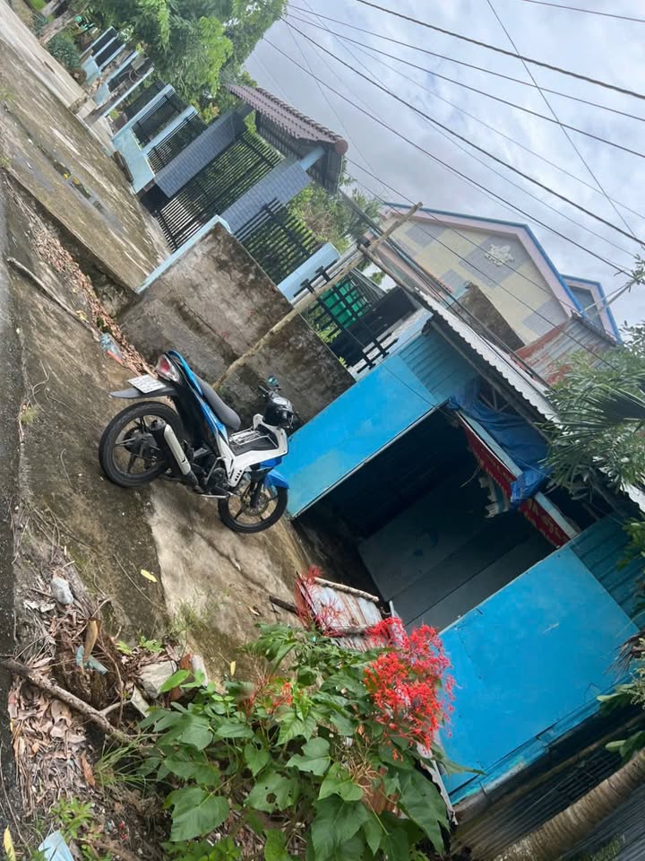 Đất nền 100m² tại Châu Thới, Bạc Liêu chỉ 350 triệu - Cơ hội đầu tư hấp dẫn!