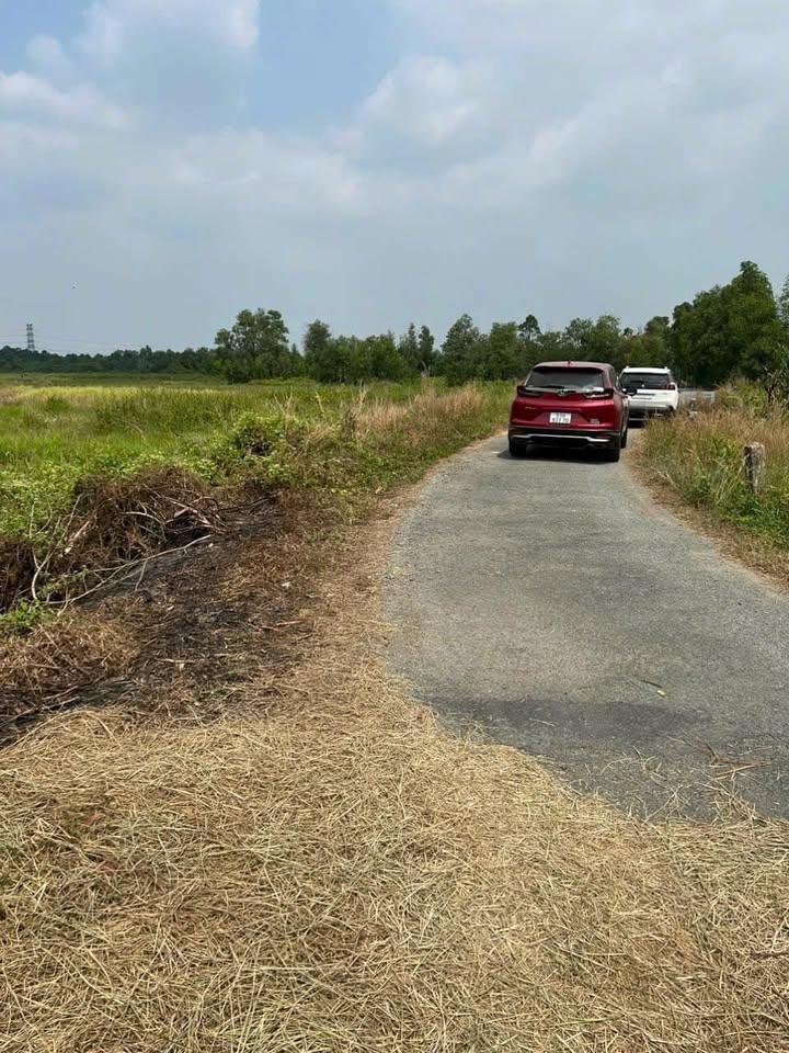 Đất trồng cây Tân Thạnh Tây Củ Chi 5004m² giá 13.511 tỷ - Đầu tư lý tưởng cho lối sống xanh