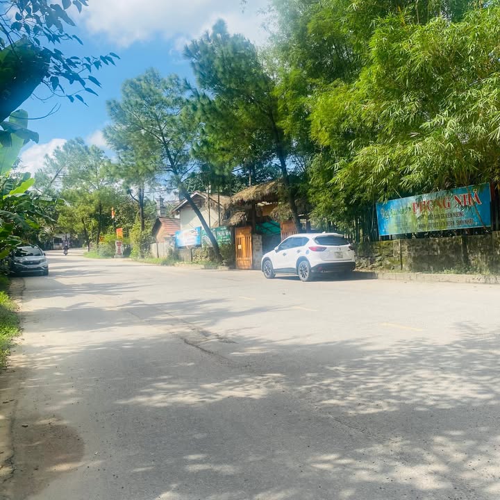 Đất Lê Ngô Cát 164m² giá 2.x tỷ - Cơ hội đầu tư lý tưởng!