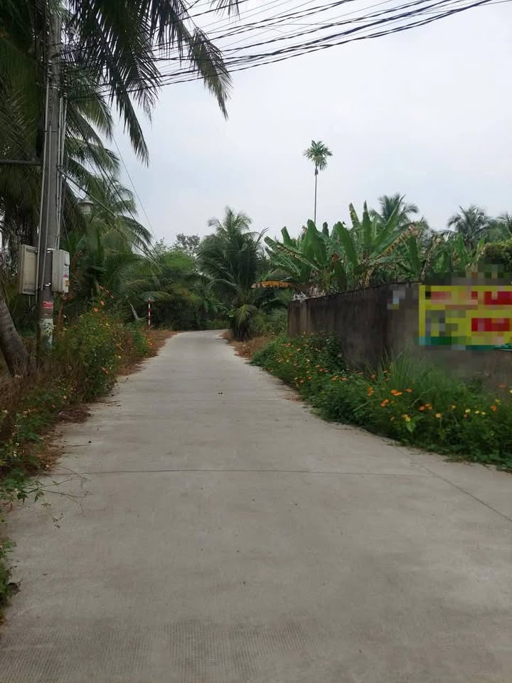 Đất thổ cư Phường An Hội 99m² giá 549 triệu - Sổ hồng chính chủ!