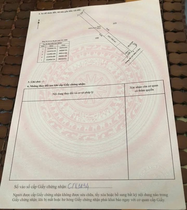 Đất thổ cư 420m² An Tây Bến Cát - Đầu tư lý tưởng cho tương lai!