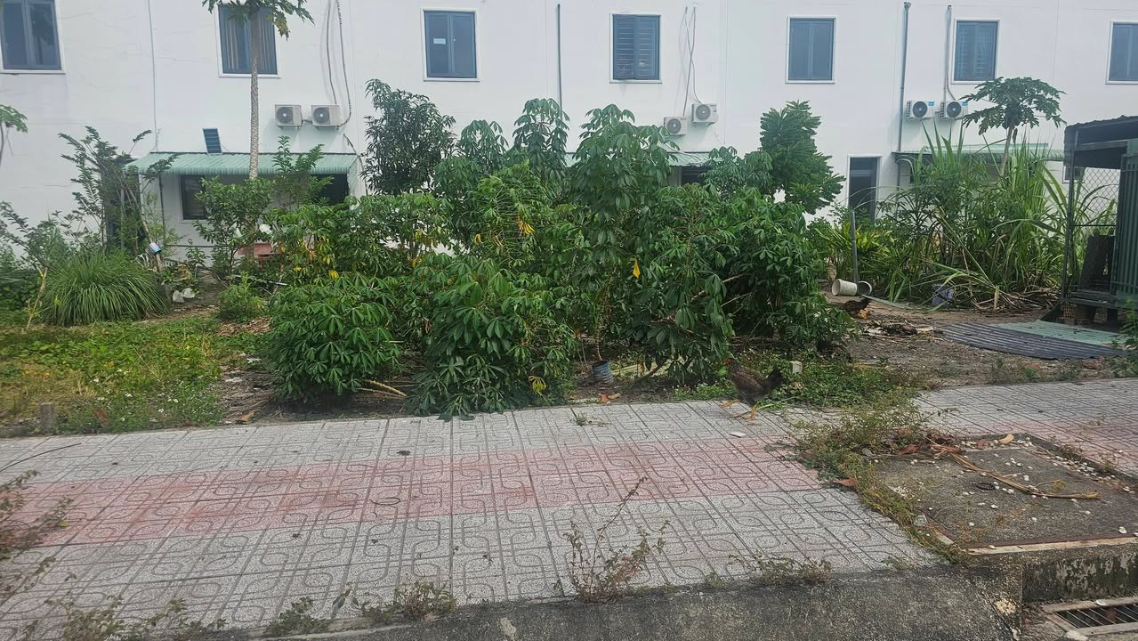 Bán đất dự án Thăng Long 2 Bàu Bàng 70m² giá 830 triệu - Sổ riêng, công chứng ngay!