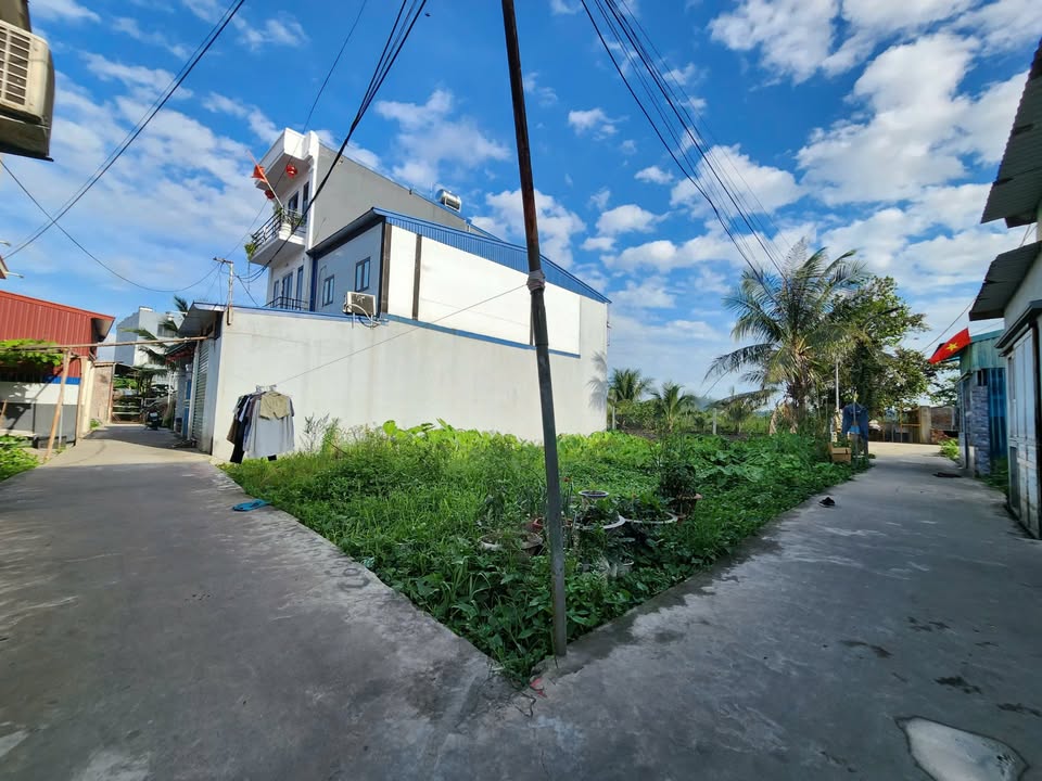 Đất nền lô góc TDP Hoàng Mai, Đồng Thái 83m² giá 1.6 tỷ - Cơ hội đầu tư hấp dẫn!