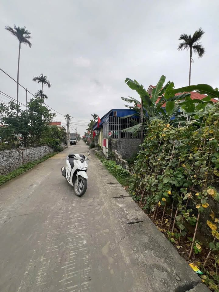 Đất thổ cư Gia Minh Thủy Nguyên 107m² giá 900 triệu - Sổ hồng chính chủ!