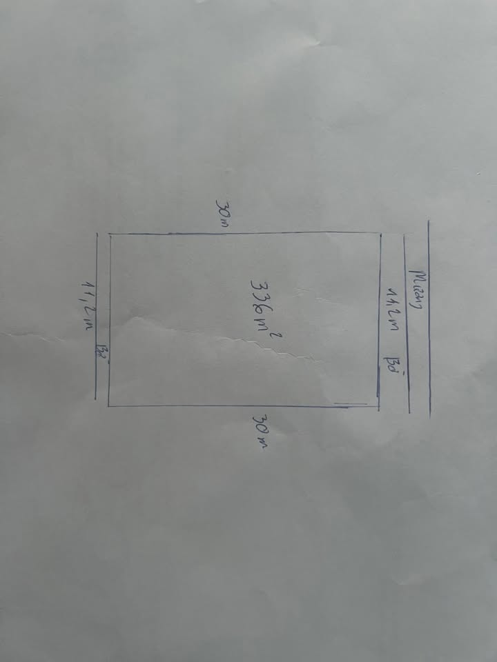 Đất trồng cây 50 năm xã Song Phương 336m² giá tốt - Đầu tư sinh lời!